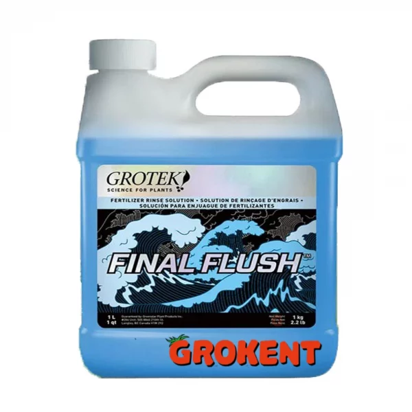 finalflushregular