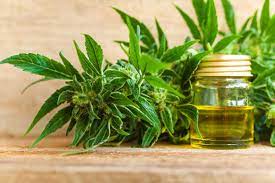 آیا CBD اعتیاد آور است؟