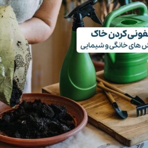 ۶ روش ضدعفونی کردن خاک گلدان