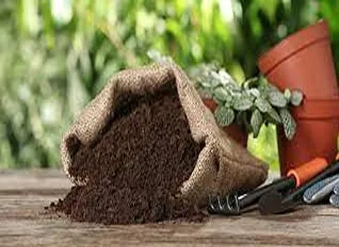 مزایای کود گاوی برای خاک