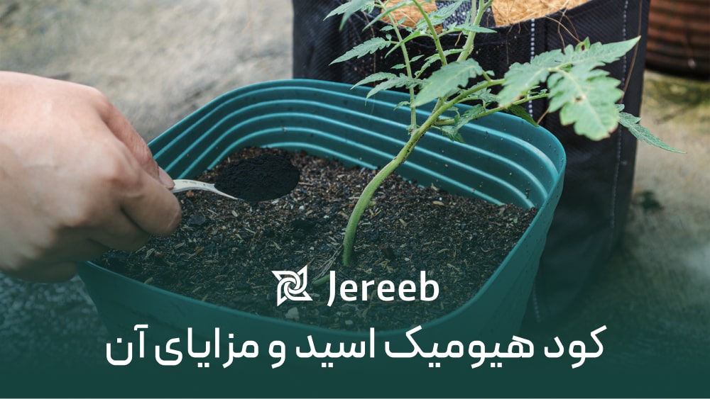 کود هیومیک اسید